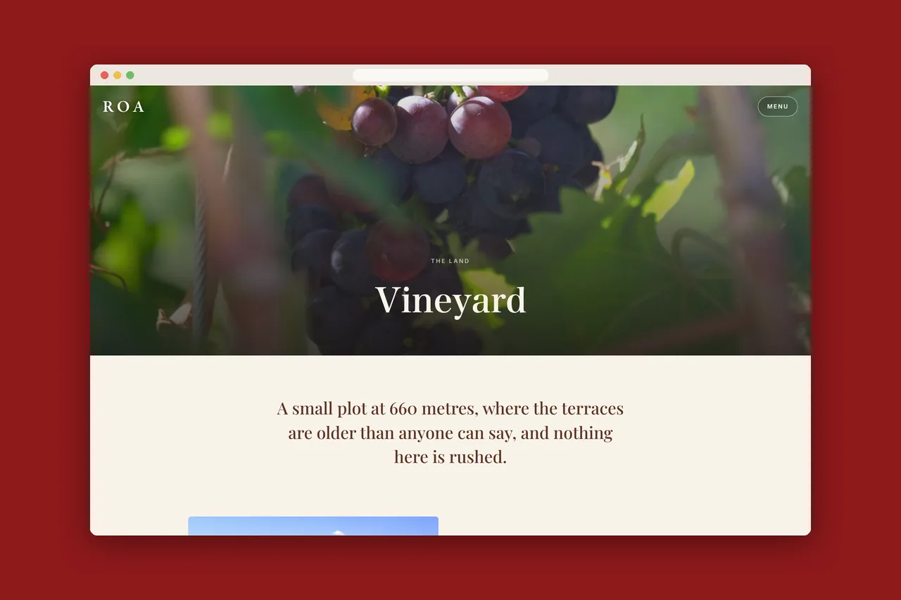 Vineyard-siden til Roots of Alpicella på en stor skjerm